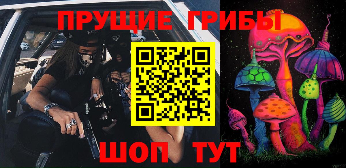 Псилоцибиновые грибы мухоморы  Вход с VPN  Зеленогорск 