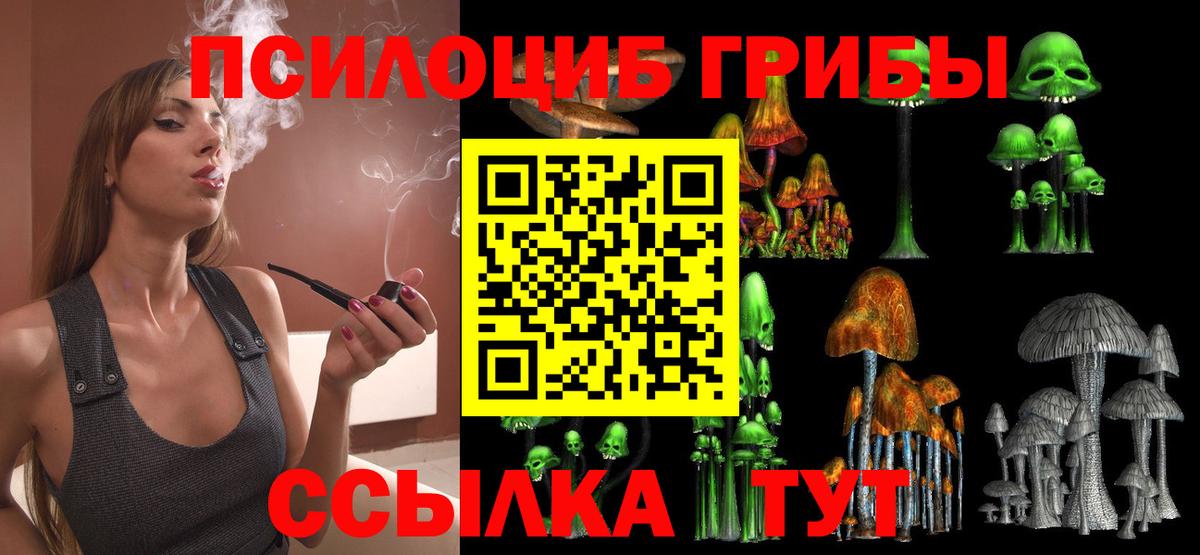 Псилоцибиновые грибы MAGIC MUSHROOMS  Зеленогорск  купить закладку  Псилоцибиновые грибы мицелий 